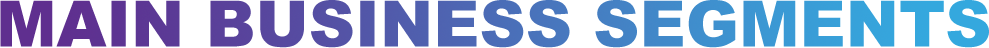 Main business segments